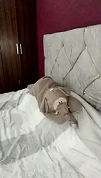 cieloking09 online show from 28, 2, 2026