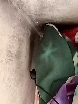 Snapshot of Nara2 chatting on 7, 10, 2025 Nara2 online show from 7, 10, 2025