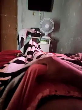 picadme online show from 6, 10, 2025