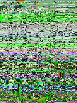 lain213 online show from 9, 10, 2025