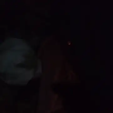 Snapshot of Aragis35 chatting on 5, 12, 2025 Aragis35 online show from 5, 12, 2025