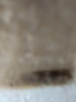 Cr sonam online show from 24, 11, 2025