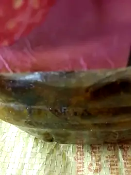 Cr sonam online show from 17, 11, 2025