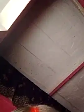 Cr sonam online show from 7, 11, 2025