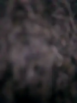 Snapshot of Ripe_me chatting on 10, 11, 2025 Ripe me online show from 10, 11, 2025