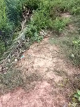 Snapshot of MalickKai chatting on 14, 10, 2025 MalickKai online show from 14, 10, 2025