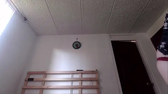 rose more   online show from 21, 11, 2025