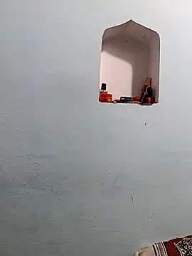 Payal G online show from 3, 11, 2025