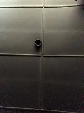 Venusasss online show from 21, 12, 2025