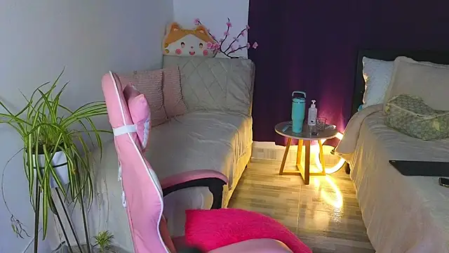 Ambeer star online show from 16, 2, 2026