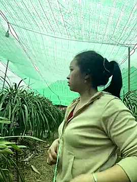 miemie-xx online show from 8, 1, 2026