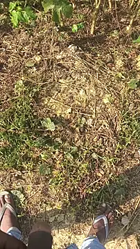 BiggerDickGuy online show from 14, 11, 2025