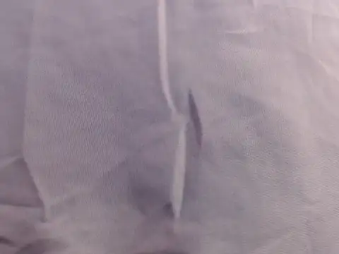 Lacey76 online show from 5, 11, 2025