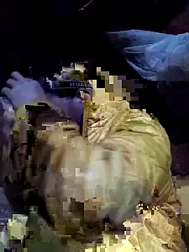 jerry-xx online show from 16, 1, 2026