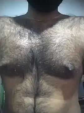 SL BEAR online show from 12, 11, 2025