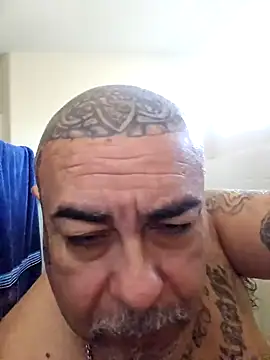 Snapshot of B1GLO chatting on 21, 2, 2026 B1GLO online show from 21, 2, 2026