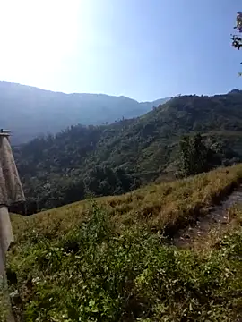 limely- online show from 27, 11, 2025