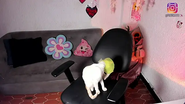 Emilycollei online show from 11, 4, 2026