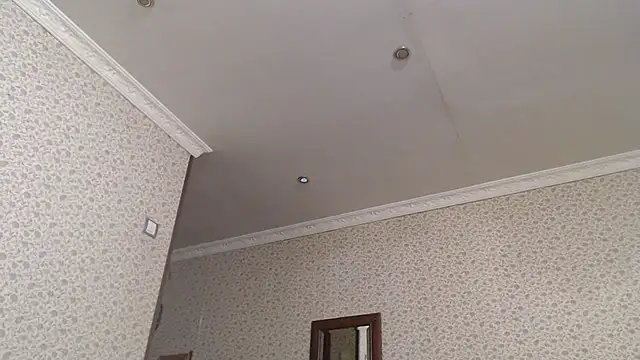 maybe doll online show from 24, 10, 2025