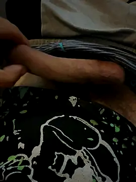 Theanimals online show from 8, 10, 2025