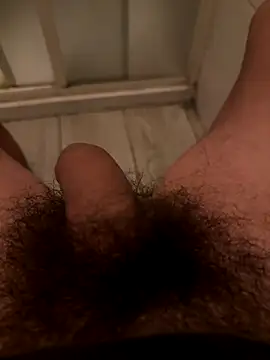 Theanimals online show from 5, 11, 2025