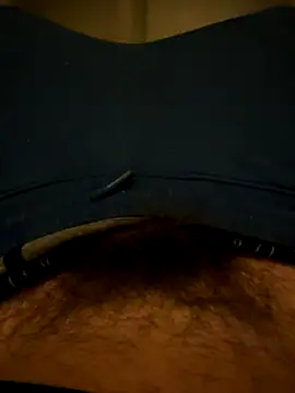 Theanimals online show from 15, 11, 2025