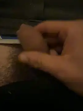 Theanimals online show from 3, 11, 2025