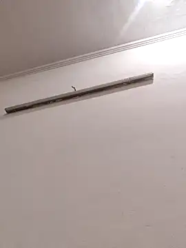 Anchal-8798 online show from 8, 1, 2026