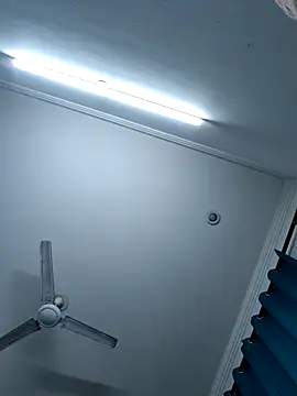 Anchal-8798 online show from 13, 12, 2025