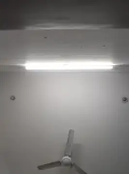 Anchal-8798 online show from 8, 11, 2025