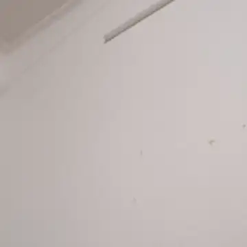 Anchal-8798 online show from 2, 12, 2025