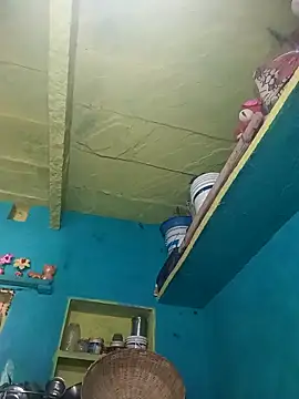 Rt shreya online show from 12, 2, 2026