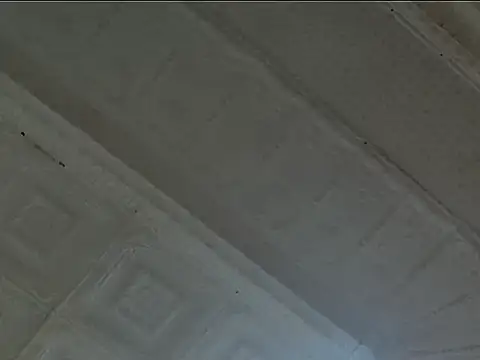 EsotericPaloma online show from 24, 10, 2025