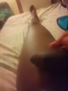 Thaps deDick online show from 8, 11, 2025