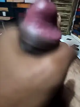 Snapshot of siddBus chatting on 11, 10, 2025 siddBus online show from 11, 10, 2025