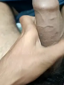 Snapshot of siddBus chatting on 29, 10, 2025 siddBus online show from 29, 10, 2025