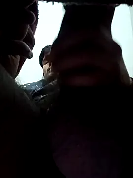 siddBus online show from 12, 2, 2026