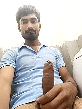 Snapshot of siddBus chatting on 2, 11, 2025 siddBus online show from 2, 11, 2025