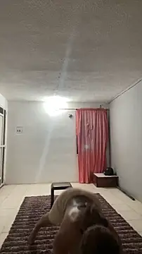 thepicis online show from 13, 3, 2026