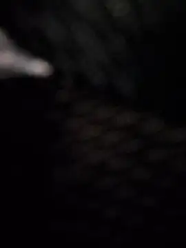 Snapshot of BeppeRagnar chatting on 27, 3, 2026 BeppeRagnar online show from 27, 3, 2026