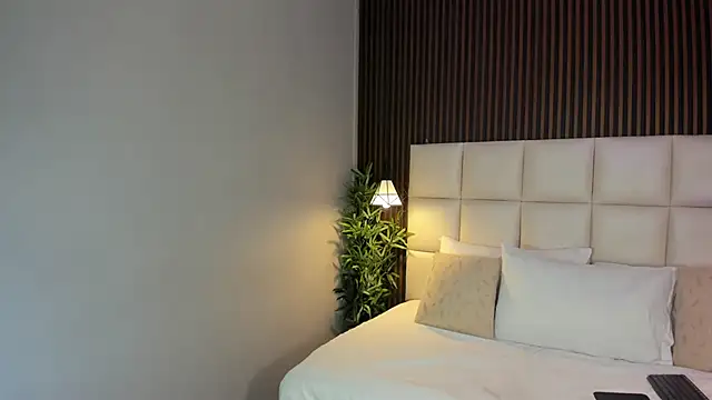 VanneCamiel online show from 28, 11, 2025