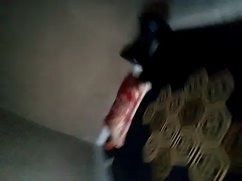 Sugar DBoy online show from 4, 11, 2025