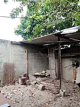 blackhot30 online show from 26, 11, 2025