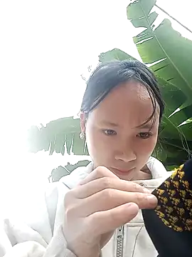 minachao- online show from 21, 12, 2025