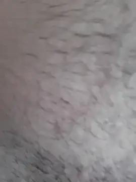 Dr Bangla online show from 28, 10, 2025