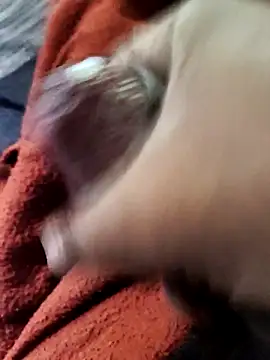 lexxymoron online show from 15, 11, 2025