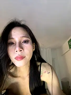 Mmo66 online show from 12, 11, 2025