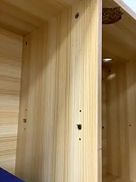 Winona88 online show from 6, 11, 2025