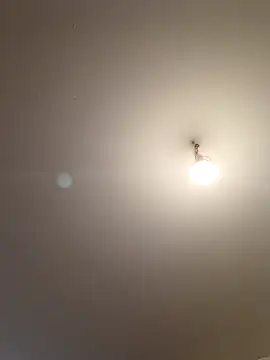 labellerose online show from 5, 4, 2026