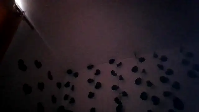 abby moss 2 online show from 25, 3, 2026